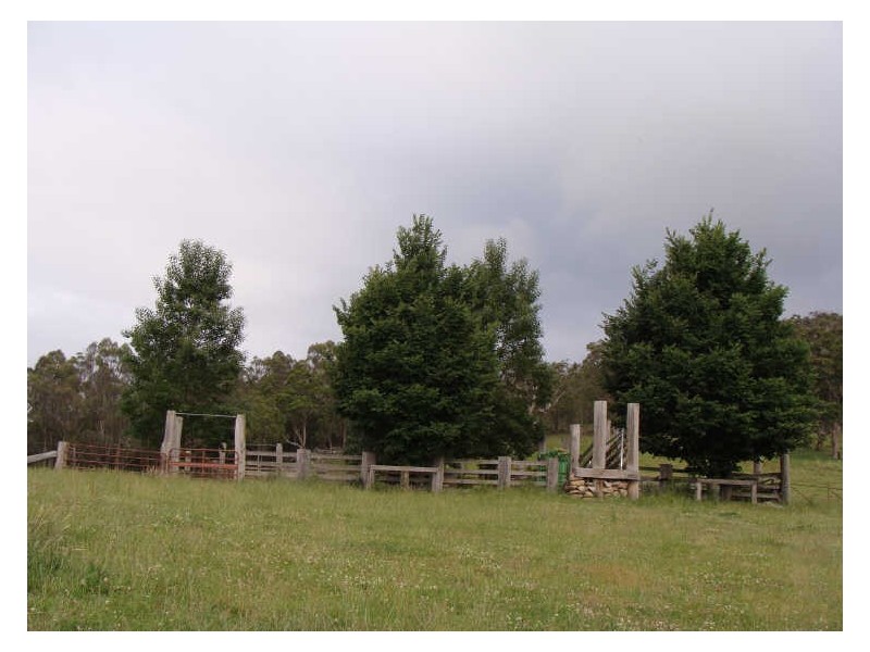 Glencoe NSW 2365