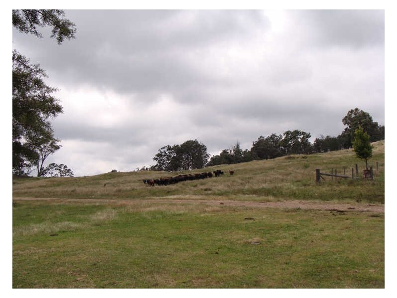 Glencoe NSW 2365