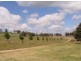 Glencoe NSW 2365