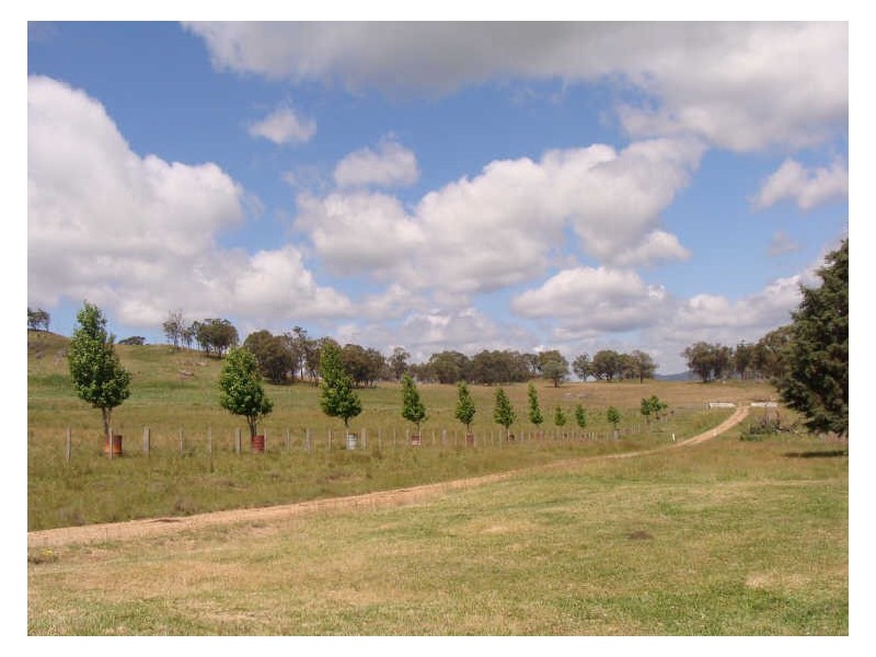 Glencoe NSW 2365