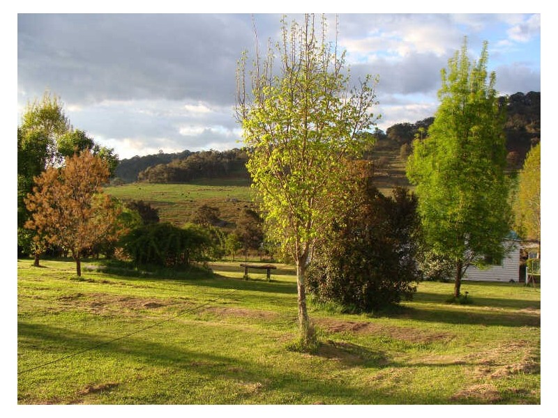 Glencoe NSW 2365