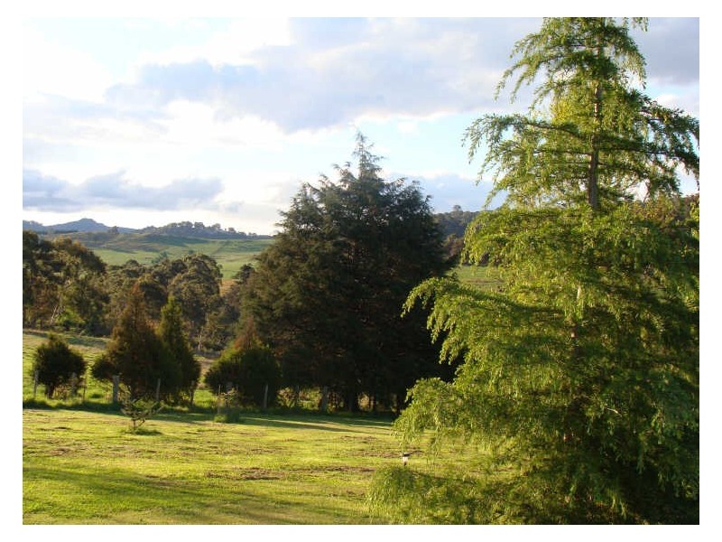 Glencoe NSW 2365