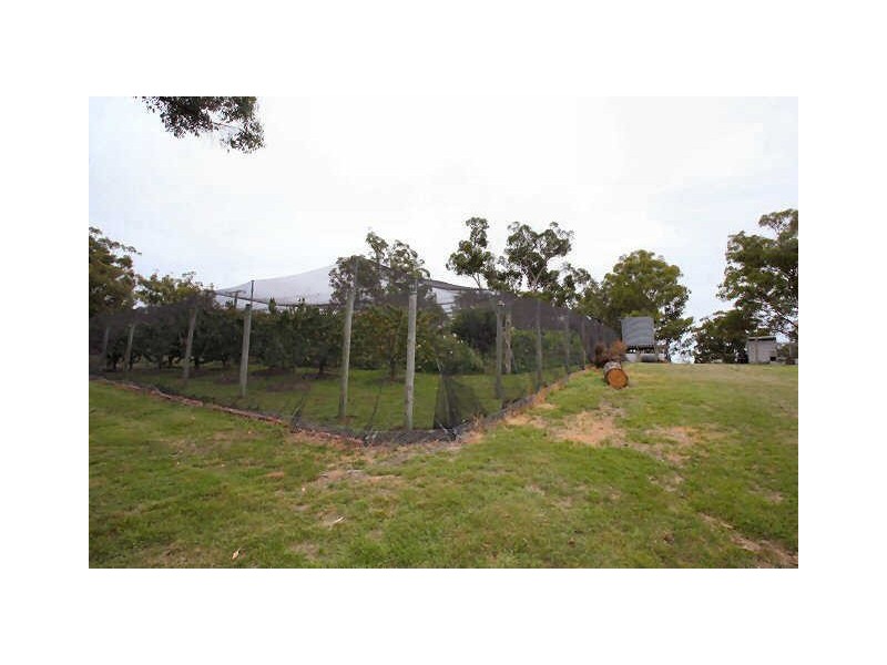 664 Currs Road, Bolivia NSW 2372