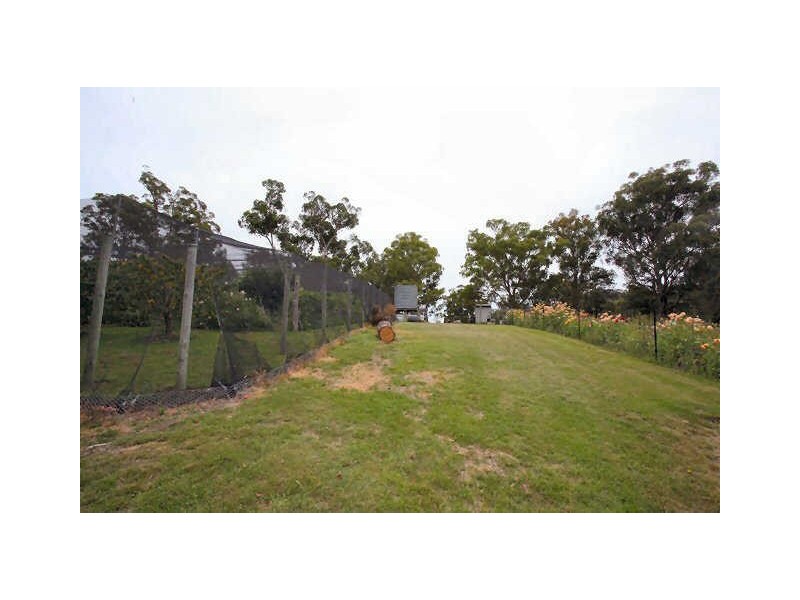 664 Currs Road, Bolivia NSW 2372