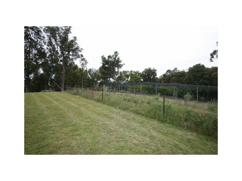 664 Currs Road, Bolivia NSW 2372