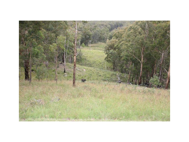 664 Currs Road, Bolivia NSW 2372