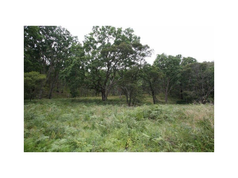 664 Currs Road, Bolivia NSW 2372