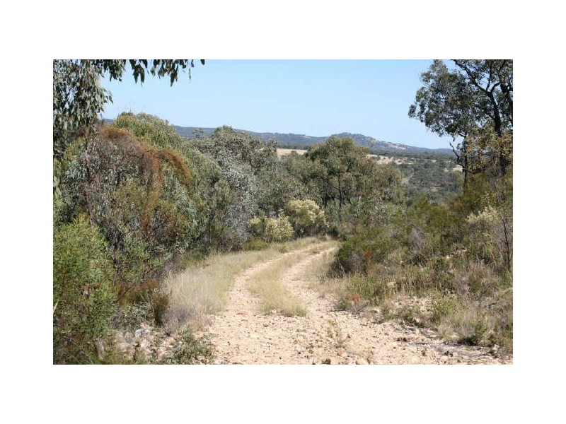 Wellingrove NSW 2370