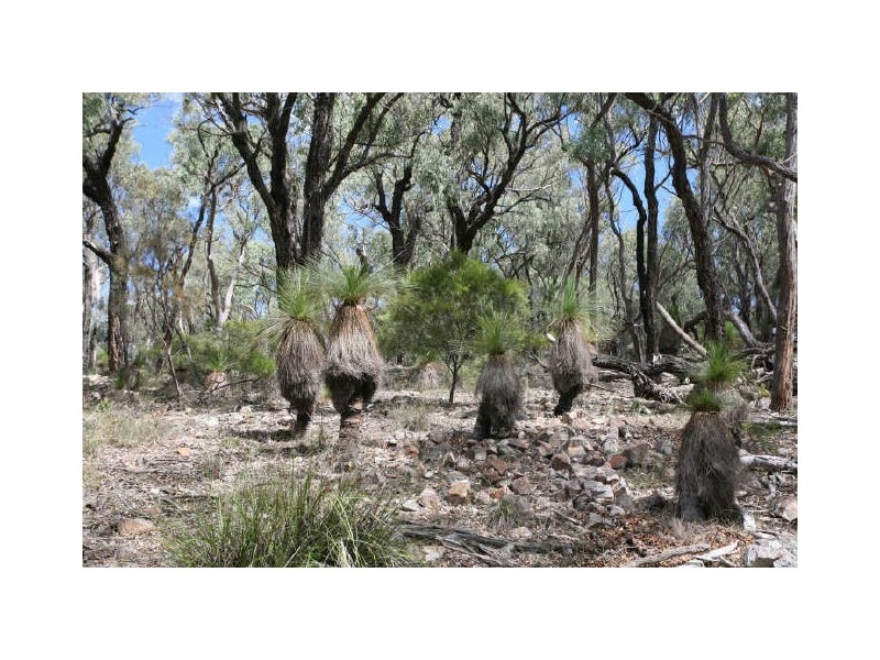 Wellingrove NSW 2370