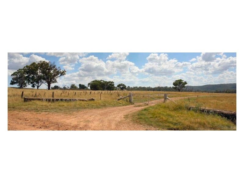 Lot 2 Tangoa Road, Wellingrove NSW 2370