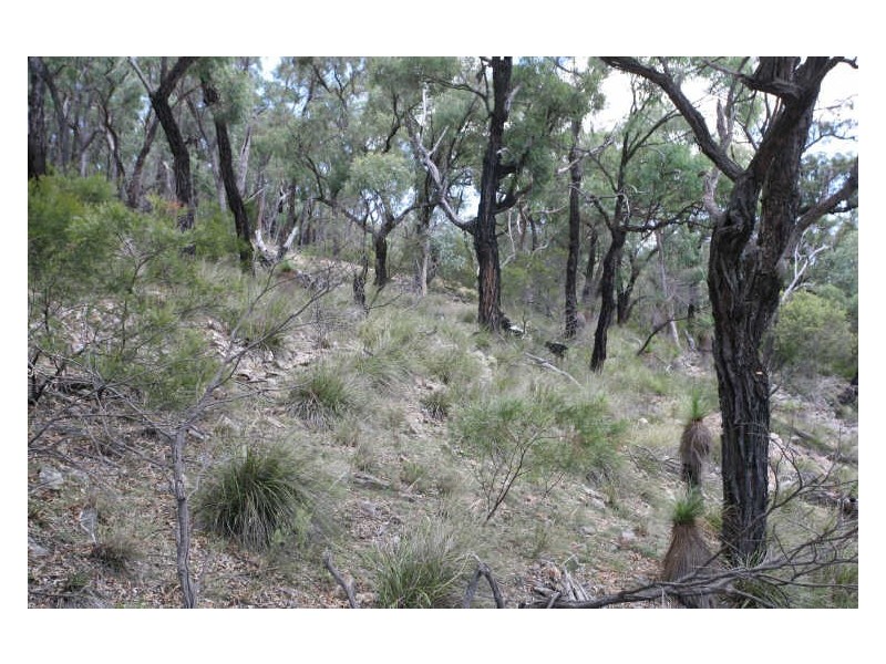 Lot 2 Tangoa Road, Wellingrove NSW 2370