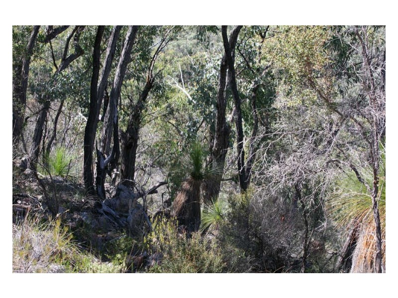 Lot 2 Tangoa Road, Wellingrove NSW 2370