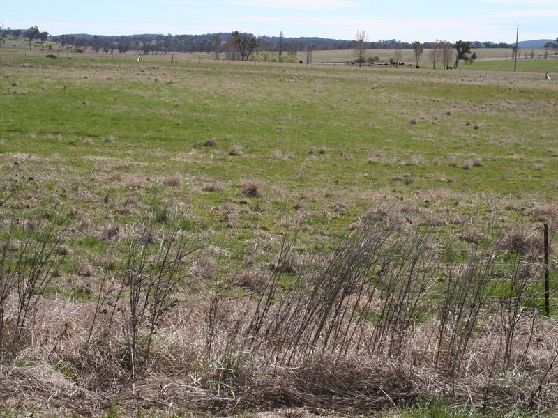 Lot 12 Galloway Place, Glen Innes NSW 2370