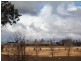 Glen Innes NSW 2370