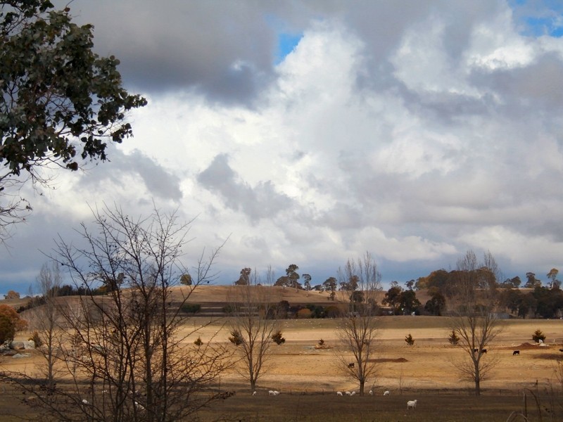 Glen Innes NSW 2370