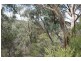 Glen Innes NSW 2370