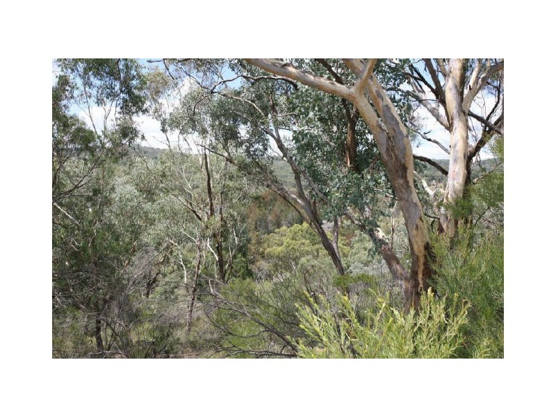 Glen Innes NSW 2370