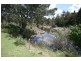 Glen Innes NSW 2370