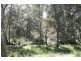 Glen Innes NSW 2370