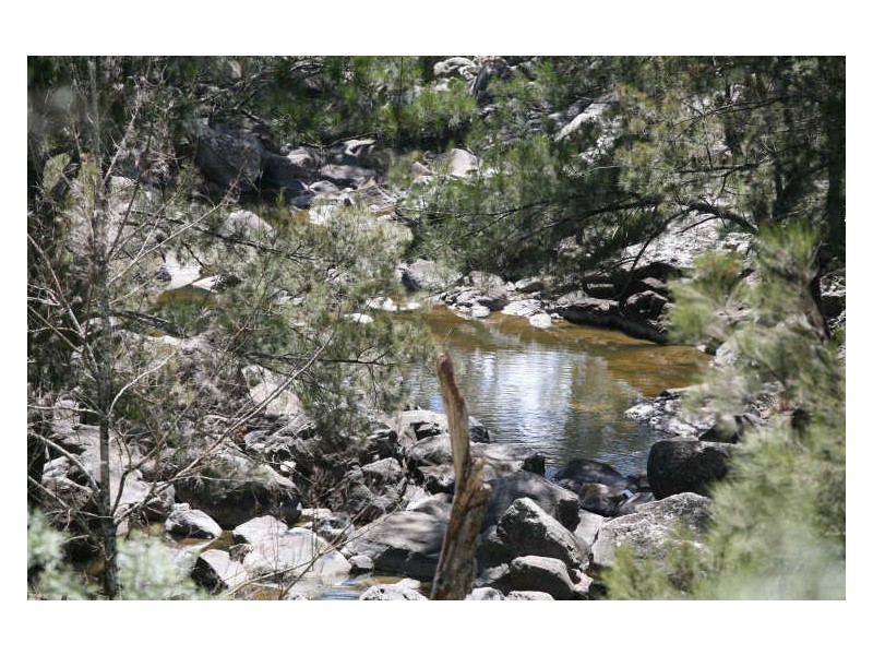 Lot 5 Tangoa Road, Wellingrove NSW 2370