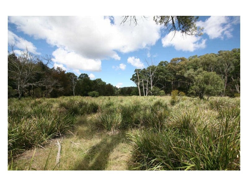 Lot 5 Tangoa Road, Wellingrove NSW 2370