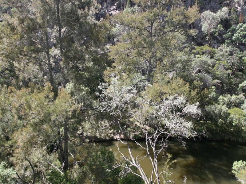 Lot 5 Tangoa Road, Wellingrove NSW 2370