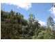 Lot 5 Tangoa Road, Wellingrove NSW 2370