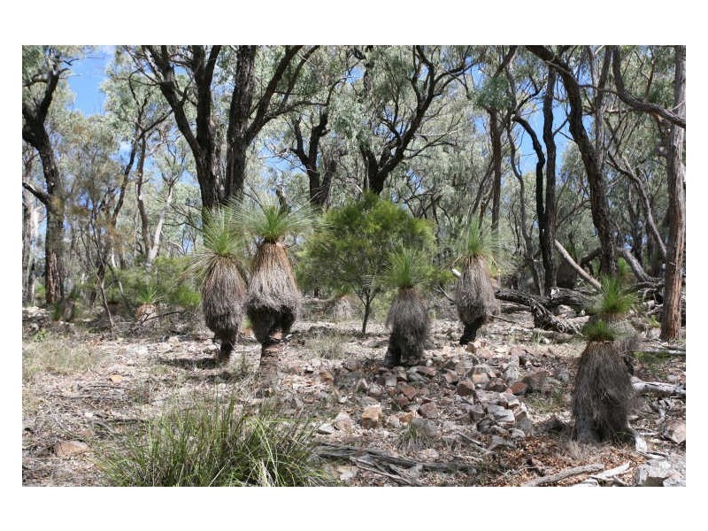 Lot 5 Tangoa Road, Wellingrove NSW 2370
