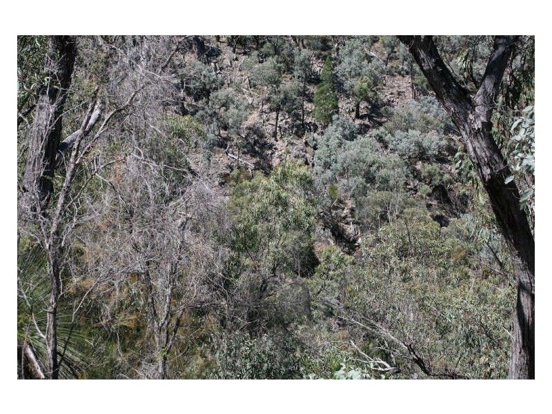 Lot 5 Tangoa Road, Wellingrove NSW 2370