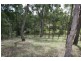 On the Wings of Eagles/Lot 1 Tangoa Road, Wellingrove NSW 2370