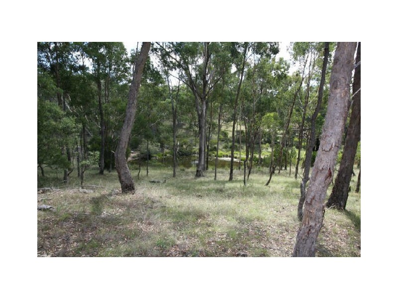 On the Wings of Eagles/Lot 1 Tangoa Road, Wellingrove NSW 2370