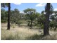 On the Wings of Eagles/Lot 1 Tangoa Road, Wellingrove NSW 2370