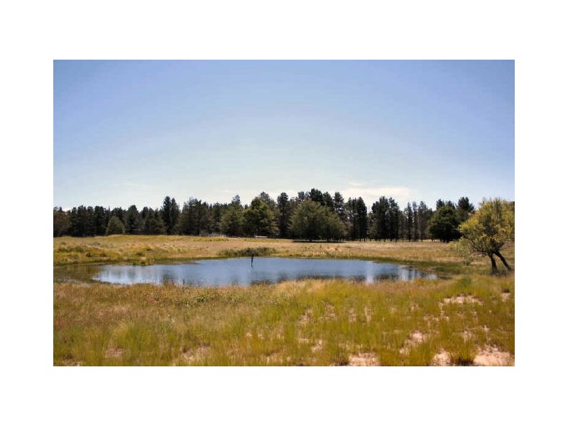 Shannonvale Road, Glen Innes NSW 2370