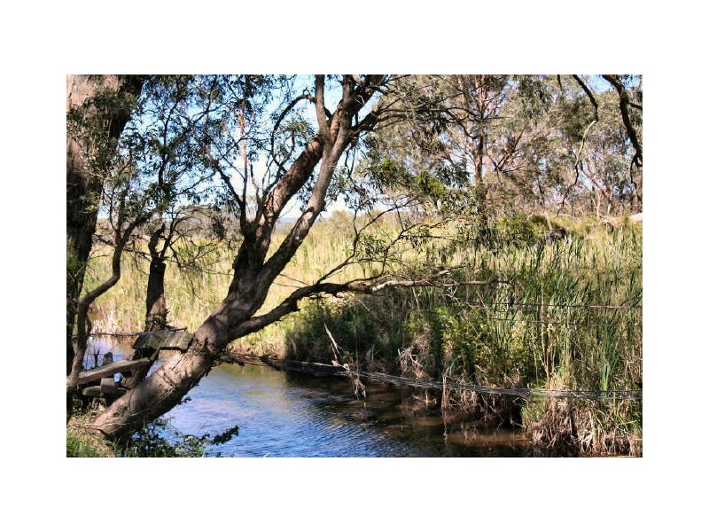 Shannonvale Road, Glen Innes NSW 2370