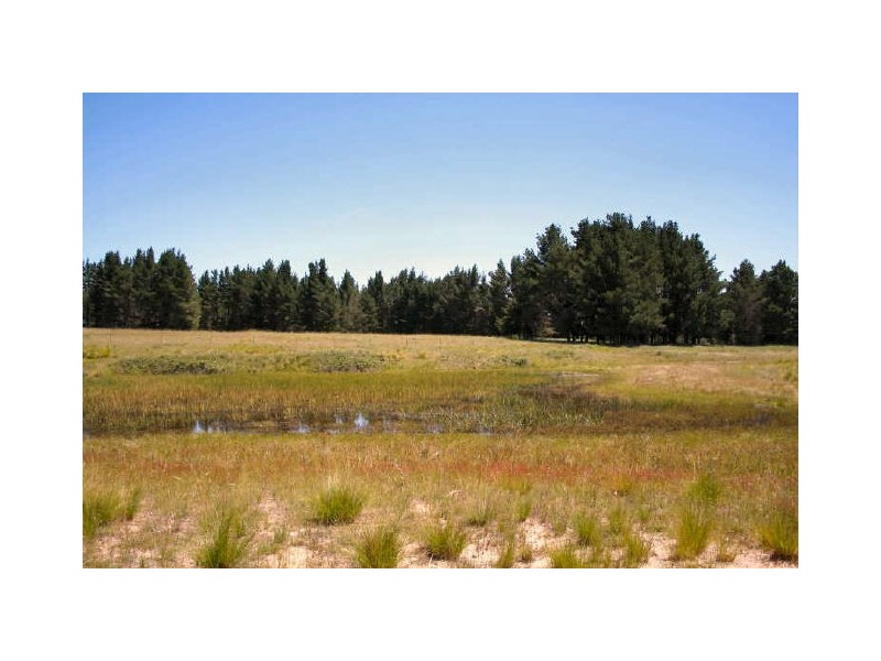 Shannonvale Road, Glen Innes NSW 2370