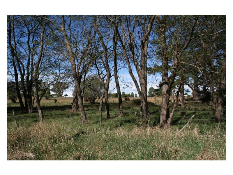 79 Fawcett Road, Glen Innes NSW 2370