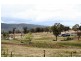 408 Eimers Road, Shannon Vale NSW 2370