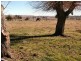 Glen Innes NSW 2370