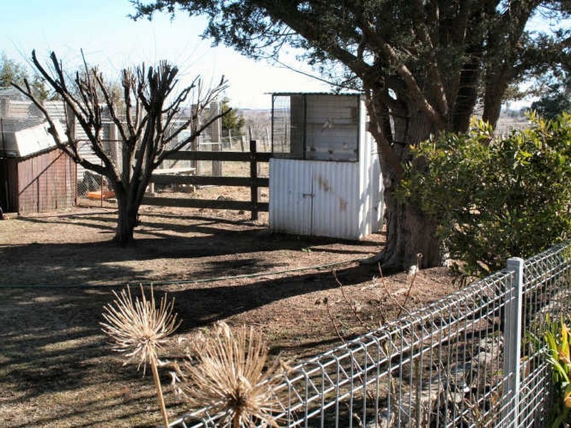 Glen Innes NSW 2370