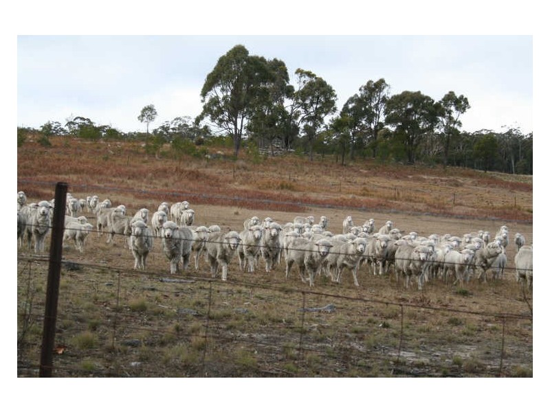 470 Silent Grove Road, Torrington NSW 2371