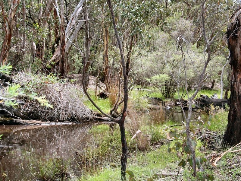 470 Silent Grove Road, Torrington NSW 2371