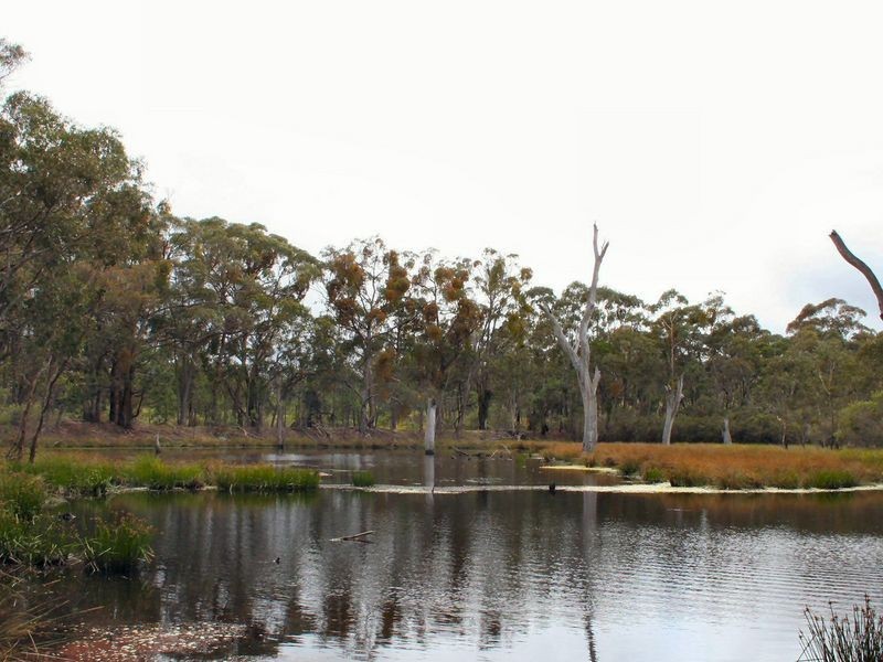 470 Silent Grove Road, Torrington NSW 2371