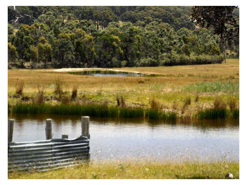 470 Silent Grove Road, Torrington NSW 2371