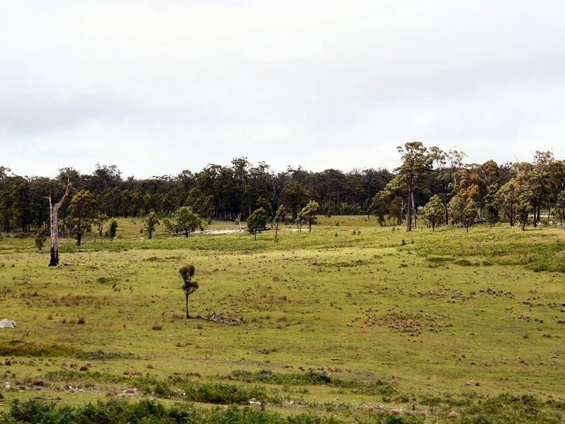 470 Silent Grove Road, Torrington NSW 2371