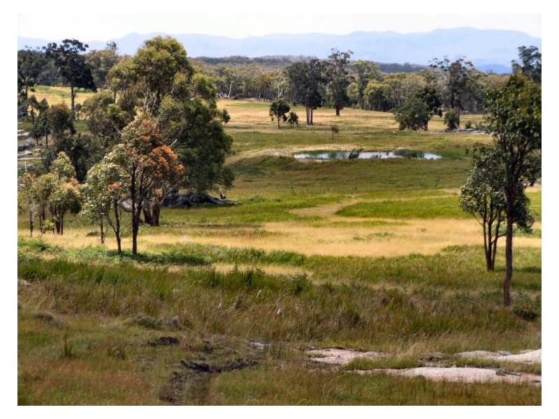 470 Silent Grove Road, Torrington NSW 2371