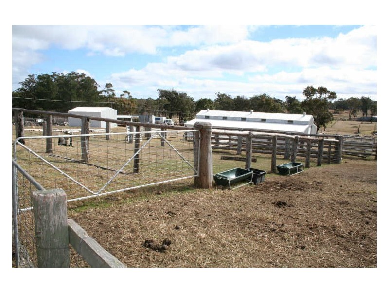 470 Silent Grove Road, Torrington NSW 2371