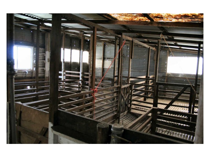 470 Silent Grove Road, Torrington NSW 2371