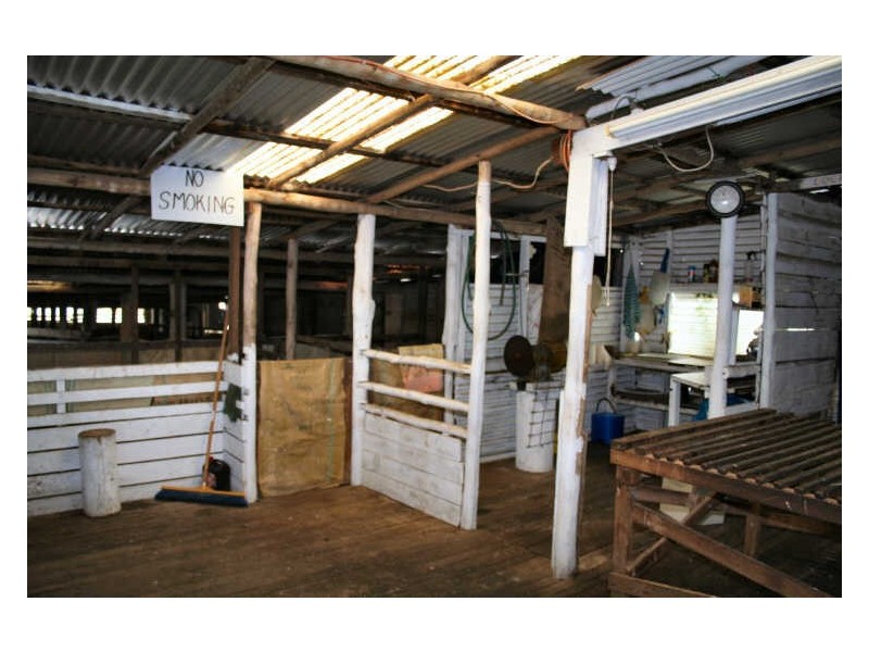 470 Silent Grove Road, Torrington NSW 2371