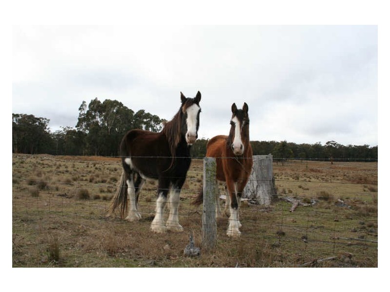 470 Silent Grove Road, Torrington NSW 2371