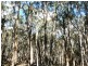 Glen Innes NSW 2370